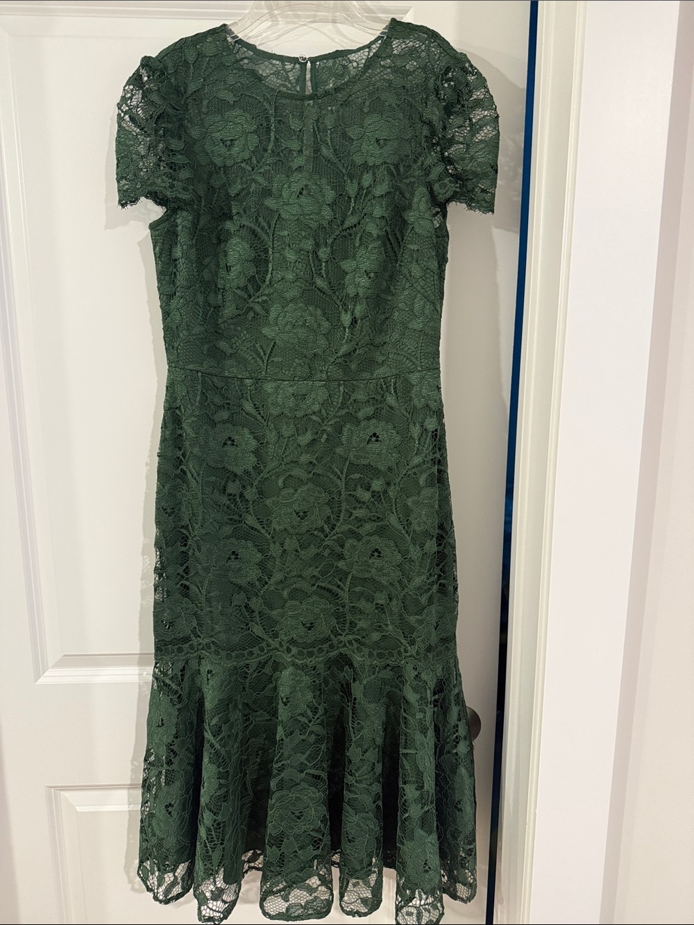 Gal Meets Glam Emerald Green Lace Fit-and-Flare Dress